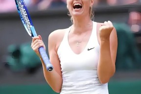 AYX-莎拉波娃在掘金比赛中持续失利，持续失利引发热议！上演精彩一战的简单介绍